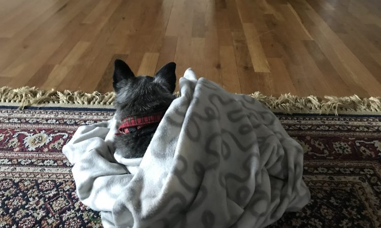 Écrire à Ma Mère